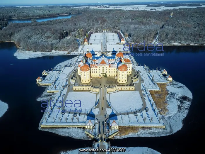  : Moritzburg Baroque Palace in Winter