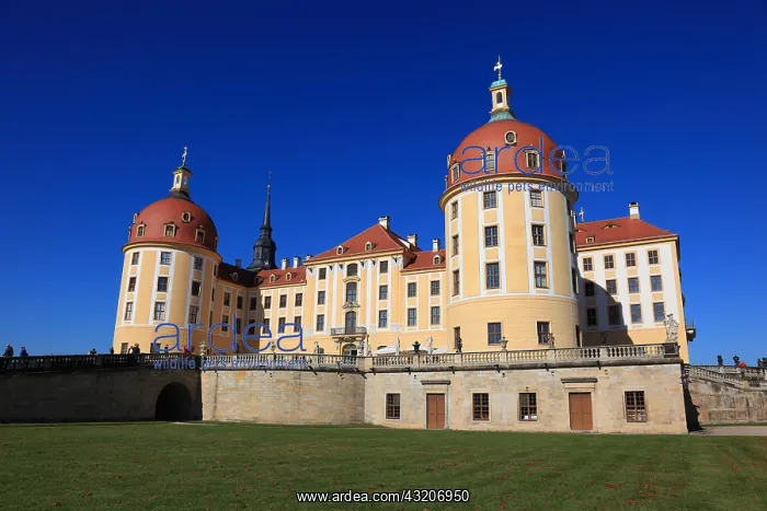: Moritzburg Castle, near Dresden, Saxony, Germany, Europe : Moritzburg Castle, near Dresden, Saxony, Germany, Europe