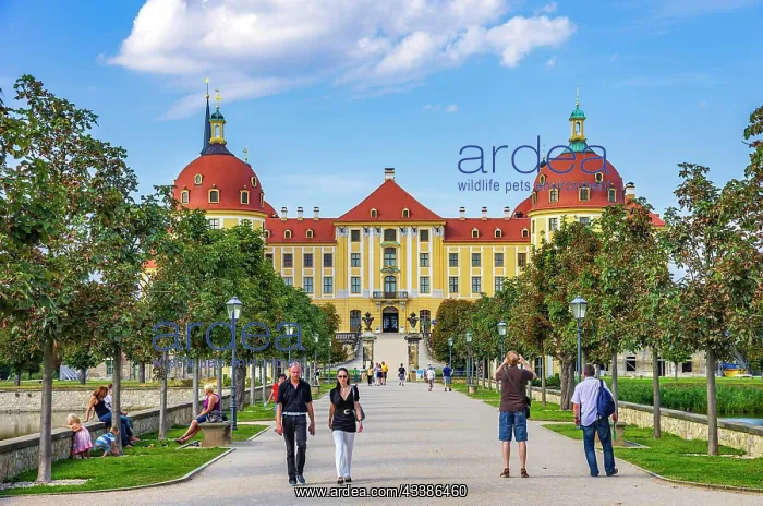 : Moritzburg Castle near Dresden, Saxony, Germany : Moritzburg Castle near Dresden, Saxony, Germany