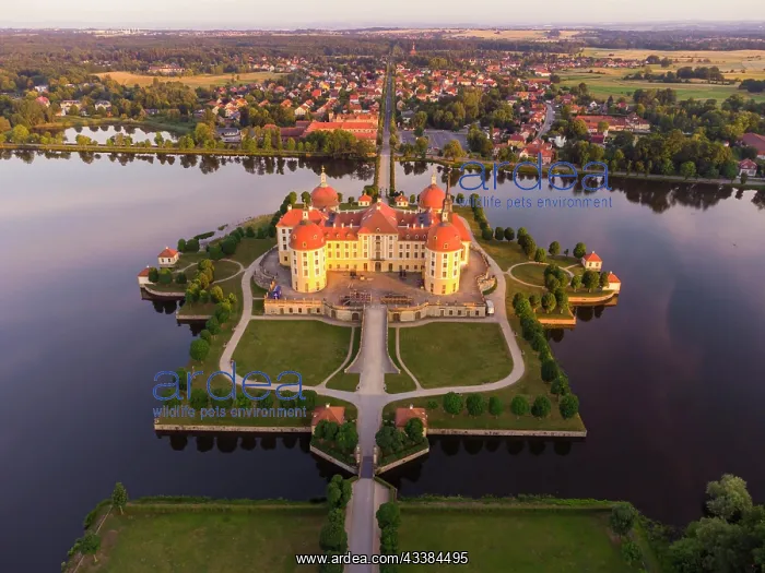 : Moritzburg Hunting Lodge in the Evening : Moritzburg Hunting Lodge in the Evening