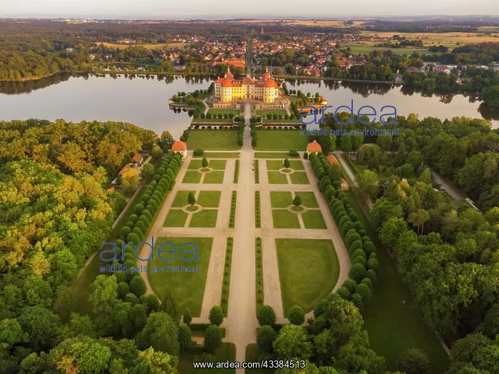 : Moritzburg Hunting Lodge in the Evening : Moritzburg Hunting Lodge in the Evening