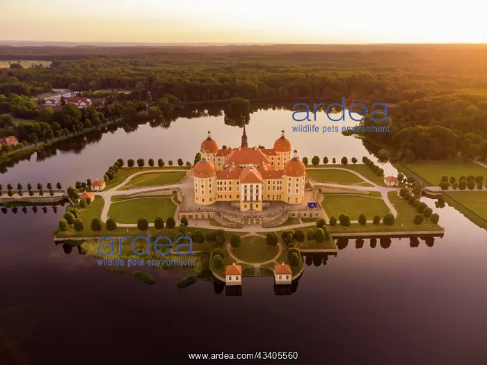 : Moritzburg Hunting Lodge in the Evening : Moritzburg Hunting Lodge in the Evening