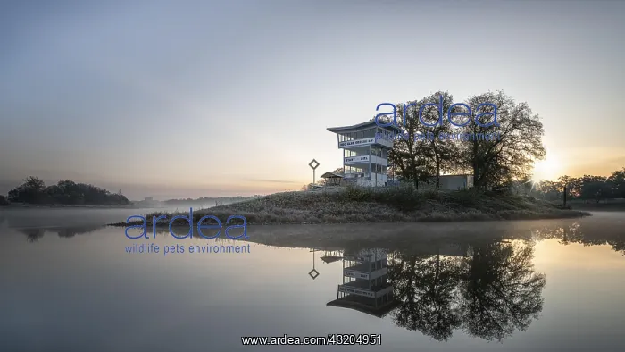 : Morning atmosphere on the Elbe with clubhouse of : Morning atmosphere on the Elbe with clubhouse of