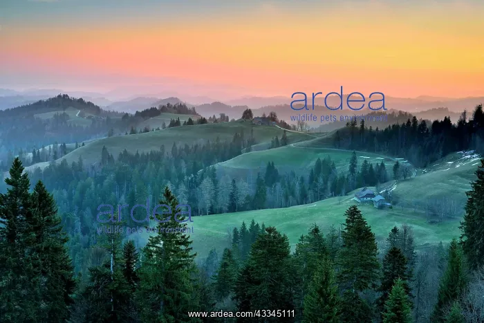 : Morning atmosphere over hilly landscape, Ahornalp : Morning atmosphere over hilly landscape, Ahornalp