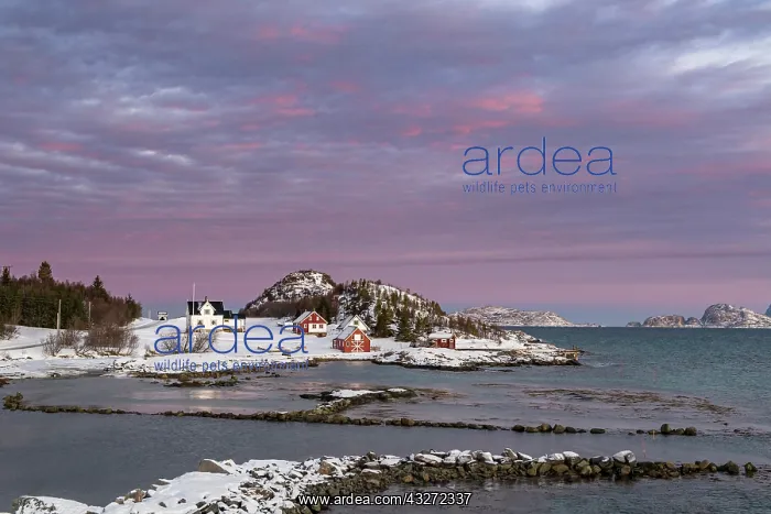 : Morning atmosphere over the houses of Botnhamn : Morning atmosphere over the houses of Botnhamn