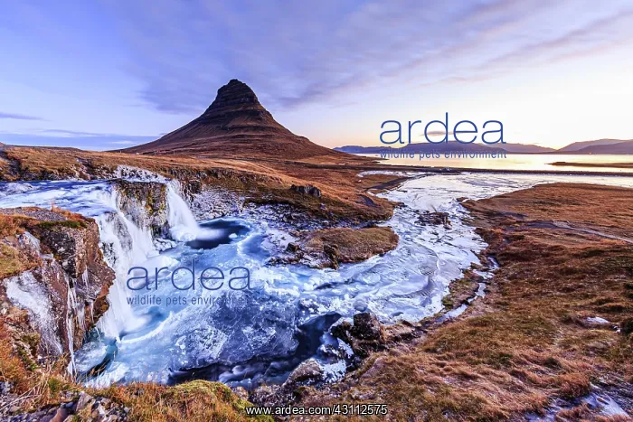 : Morning atmosphere at Kirkjufell with waterfall : Morning atmosphere at Kirkjufell with waterfall