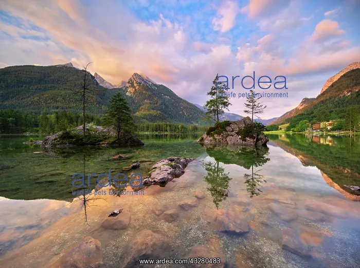 : Morning atmosphere at Lake Hintersee, Ramsau, Berchtesgadene : Morning atmosphere at Lake Hintersee, Ramsau, Berchtesgadene