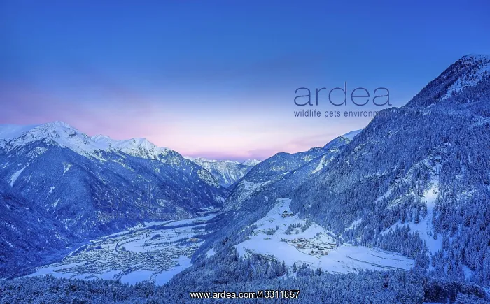 : Morning atmosphere, Otztal in winter, looking north : Morning atmosphere, Otztal in winter, looking north