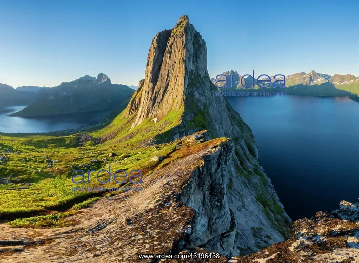 : Morning atmosphere, steep mountain Segla, fjord : Morning atmosphere, steep mountain Segla, fjord