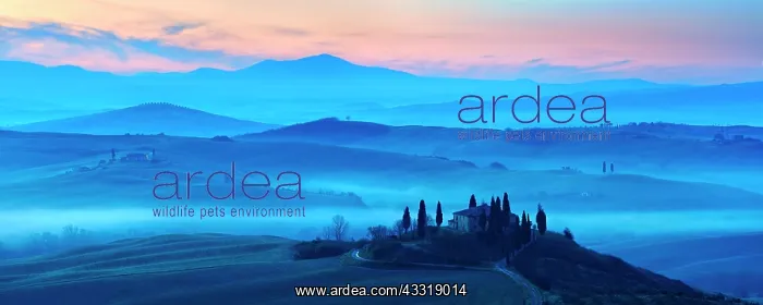  : Morning atmosphere in Tuscany, hilly landscape with