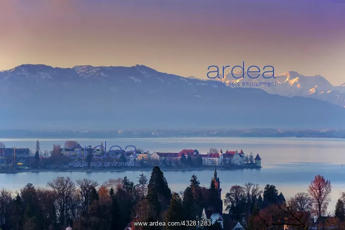 : Morning atmosphere, view over Lindau to Lake Constance : Morning atmosphere, view over Lindau to Lake Constance