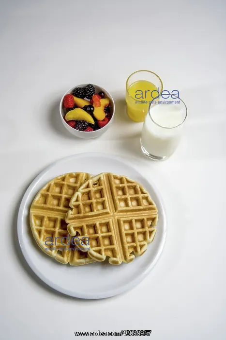 : Morning Breakfast : Morning Breakfast