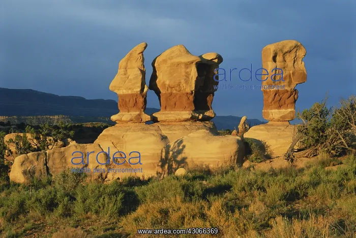 : Morning in Devil's Garden, Utah : Morning in Devil's Garden, Utah