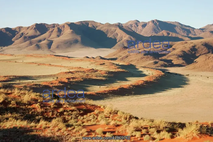  : In the morning at the edge of the Namib Desert