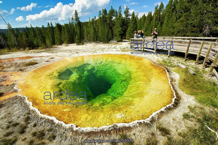 : Morning Glory Pool In the Yellowstone National Park : Morning Glory Pool In the Yellowstone National Park