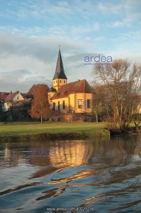: Morning light on church along Main River : Morning light on church along Main River