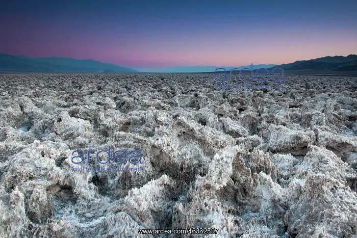 : Morning light at Devils Golf Course, Death Valley : Morning light at Devils Golf Course, Death Valley