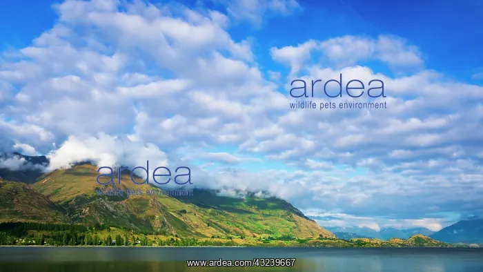 : Morning light on Lake Wanaka, Wanaka, Otago, South