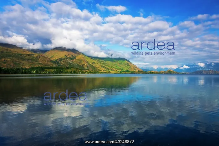  : Morning light on Lake Wanaka, Wanaka, Otago, South