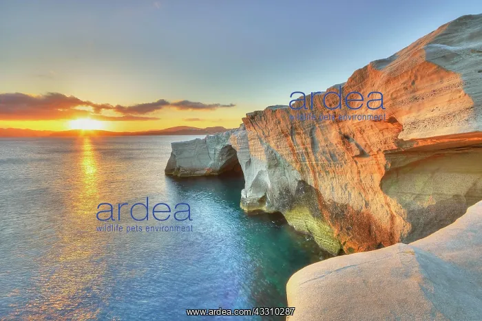 : Morning light, sunrise, sun as star, orange-red : Morning light, sunrise, sun as star, orange-red