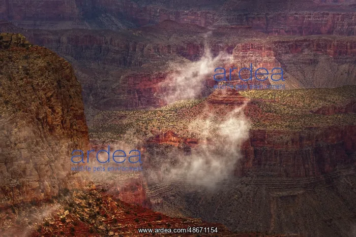 : Morning mist, Grand Canyon National Park, Arizona : Morning mist, Grand Canyon National Park, Arizona