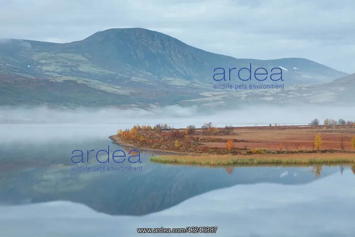 : Morning mist at lake Avsjoen near Dovrefjell Oppland : Morning mist at lake Avsjoen near Dovrefjell Oppland