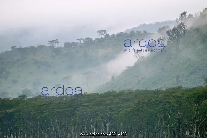 : Morning mist on ridges, Lake Nakuru National : Morning mist on ridges, Lake Nakuru National