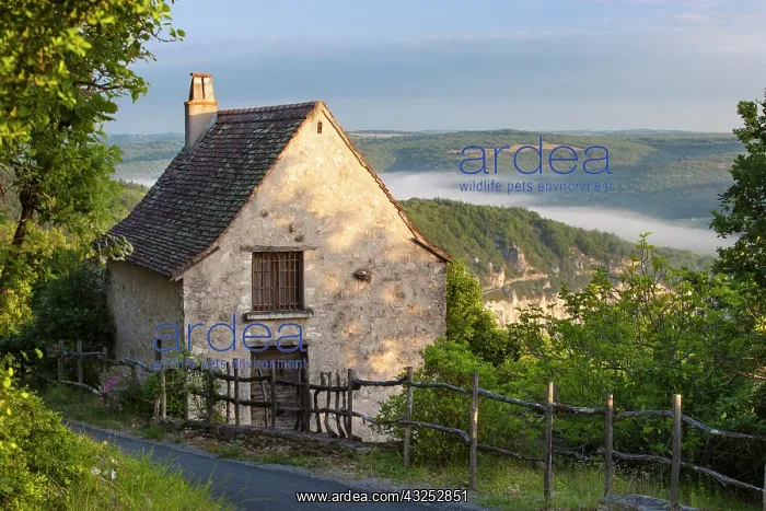 : Morning mist along River Lot below a cottage : Morning mist along River Lot below a cottage