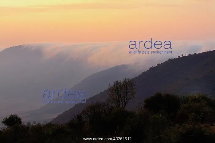  : Morning mist rolling over crater rim into