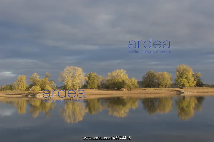 : Morning at river Elbe at Lower Saxonian Elbe : Morning at river Elbe at Lower Saxonian Elbe