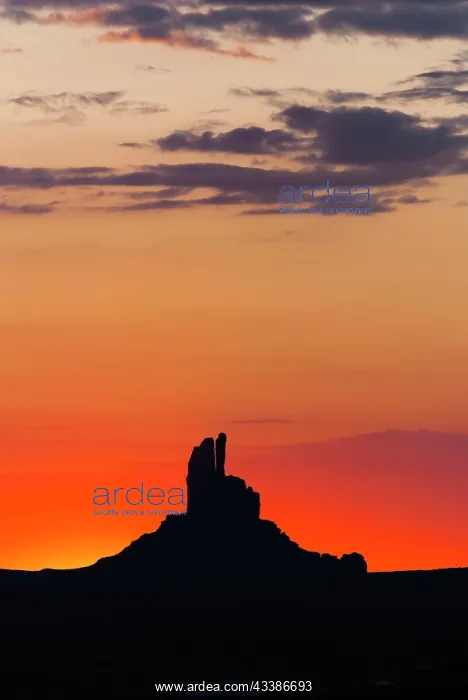 : Morning sky with silhouette at Monument Valley : Morning sky with silhouette at Monument Valley
