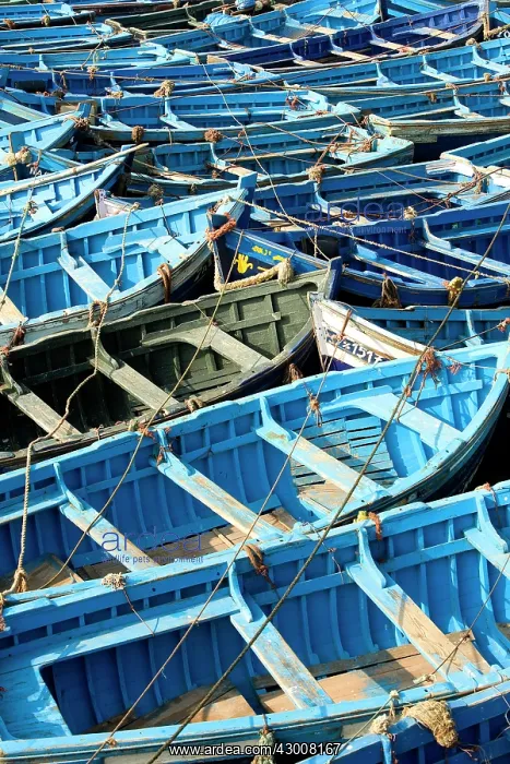 : Morocco blue fishing boats