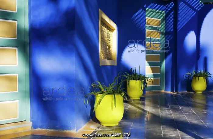 : Morocco - Architectural detail in the lovely subtropical : Morocco - Architectural detail in the lovely subtropical
