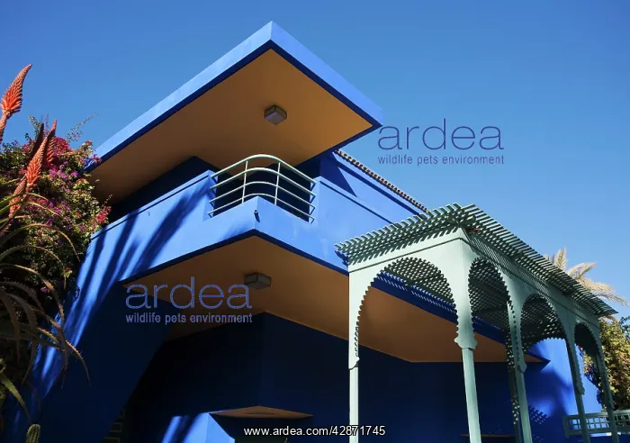 : Morocco - Architectural detail of the main building : Morocco - Architectural detail of the main building