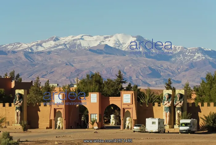 : Morocco - The Atlas Corporation Studios in Ouarzazate : Morocco - The Atlas Corporation Studios in Ouarzazate