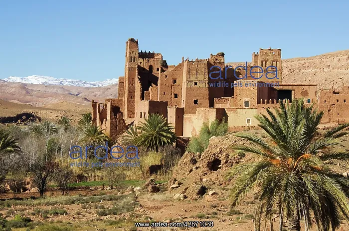 : Morocco - The beautiful Tamdaght kasbah (= fortress) : Morocco - The beautiful Tamdaght kasbah (= fortress)