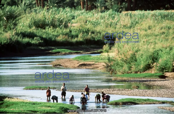 : MOROCCO - Berber Children fishing, near Tamnougait : MOROCCO - Berber Children fishing, near Tamnougait