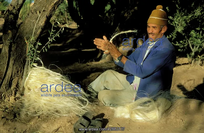 : Morocco - Berber in the Skoura oasis just south : Morocco - Berber in the Skoura oasis just south