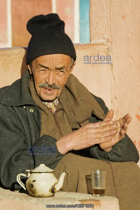 : Morocco - A Berber in Tafraoute enjoys a mint tea : Morocco - A Berber in Tafraoute enjoys a mint tea