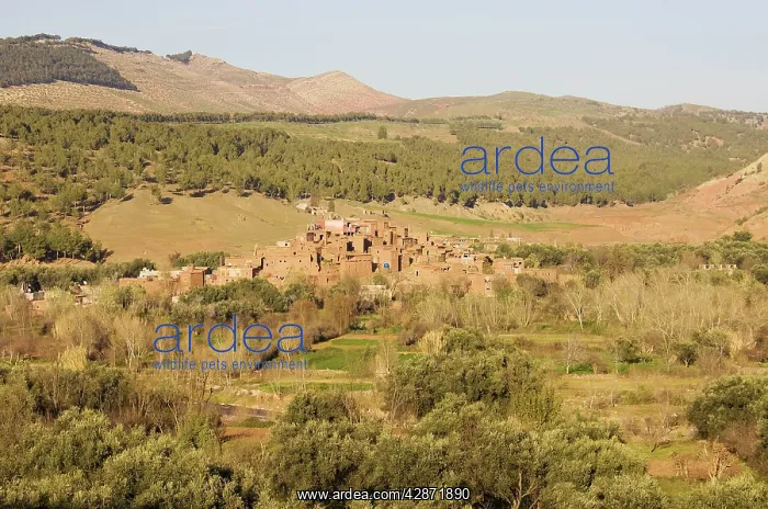 : Morocco - Berber village between Marrakesh and : Morocco - Berber village between Marrakesh and
