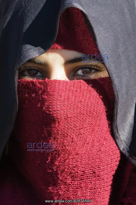 : Morocco - Berber woman of the Anti-Atlas mountain : Morocco - Berber woman of the Anti-Atlas mountain