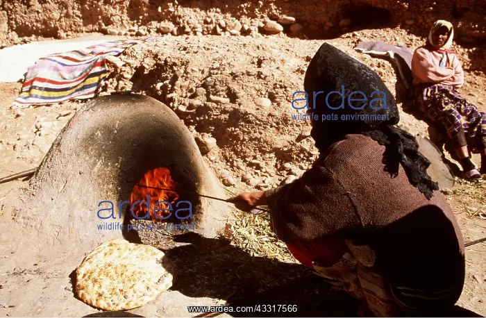 : MOROCCO - Berber woman baking bread at a public : MOROCCO - Berber woman baking bread at a public