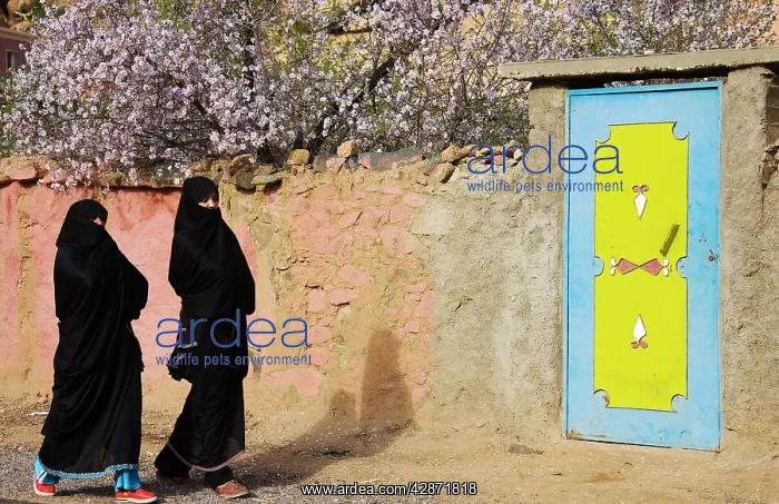 : Morocco - Berber women in the village of Adai : Morocco - Berber women in the village of Adai