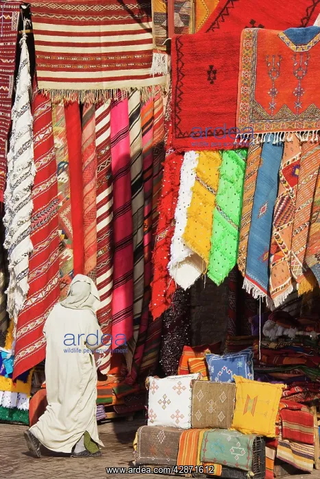 : Morocco - Carpet shops in the souks of Marrakesh : Morocco - Carpet shops in the souks of Marrakesh