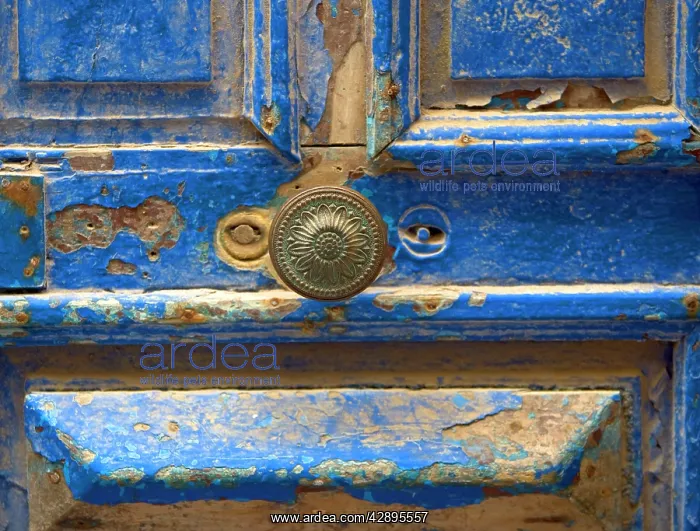 : Morocco - close-up of chipped blue door & handle : Morocco - close-up of chipped blue door & handle