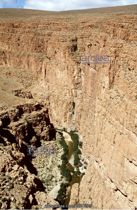 : MOROCCO - DADES GORGE : MOROCCO - DADES GORGE