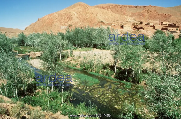 : MOROCCO - Dades river valley, south of Atlas Mountains : MOROCCO - Dades river valley, south of Atlas Mountains