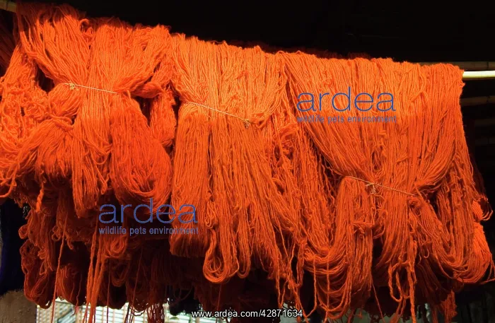 : Morocco - The dyers souk in Marrakesh : Morocco - The dyers souk in Marrakesh