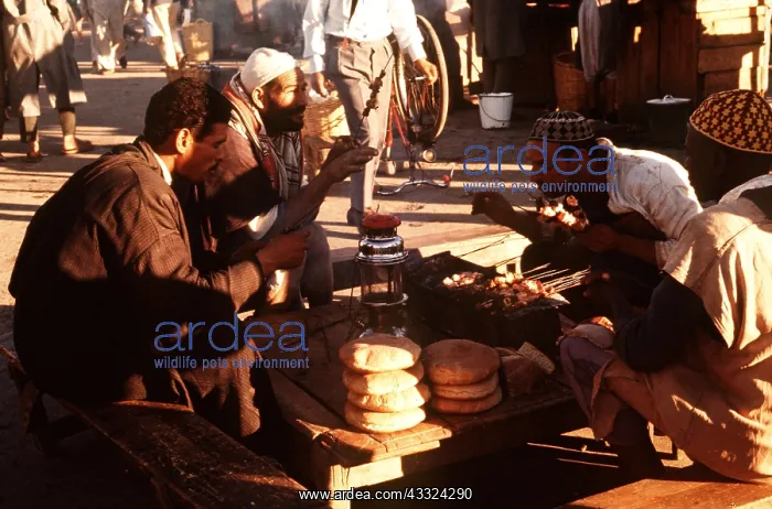 : MOROCCO - evening market in Marrakech : MOROCCO - evening market in Marrakech