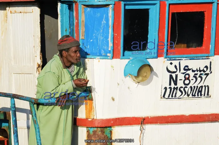 : Morocco - Fishing boat in the port of Essaouira : Morocco - Fishing boat in the port of Essaouira